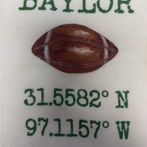 Baylor Football Graphic Kitchen Towel NWT